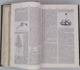 FOCILLON Adolphe Jean, PRIVAT-DESCHANEL Augustin "Dictionnaire général des sciences théoriques et appliquées"