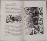 FIGUIER Louis "LA VIE ET LES MOEURS DES ANIMAUX - Les Poissons, les Reptiles et les Oiseaux"