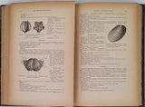 HAUG Émile  "TRAITÉ DE GÉOLOGIE" [Jean Gandillot]