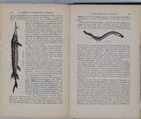 DAGUILLON Auguste "Anatomie et Physiologie animales à l'usage des élèves de l'Enseignement secondaire classique, de l'Enseignement secondaire moderne et des candidats aux baccalauréats"