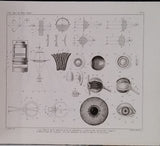 RASPAIL François-Vincent "NOUVEAU SYSTÈME DE CHIMIE ORGANIQUE FONDÉ SUR DES NOUVELLES MÉTHODES D'OBSERVATION [ATLAS SEUL]"